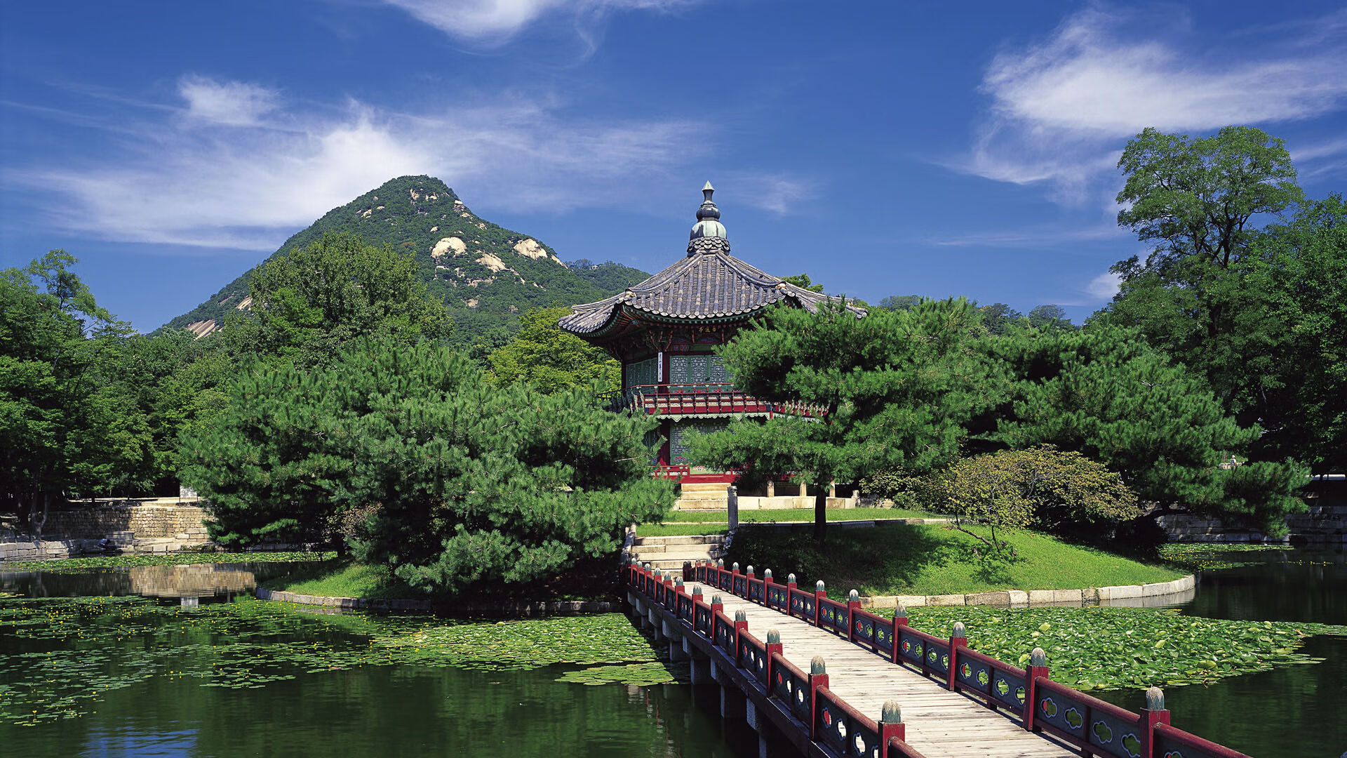 国际奥委会通过新性别政策，变性选手资格审查升级，本届奥运会变性人