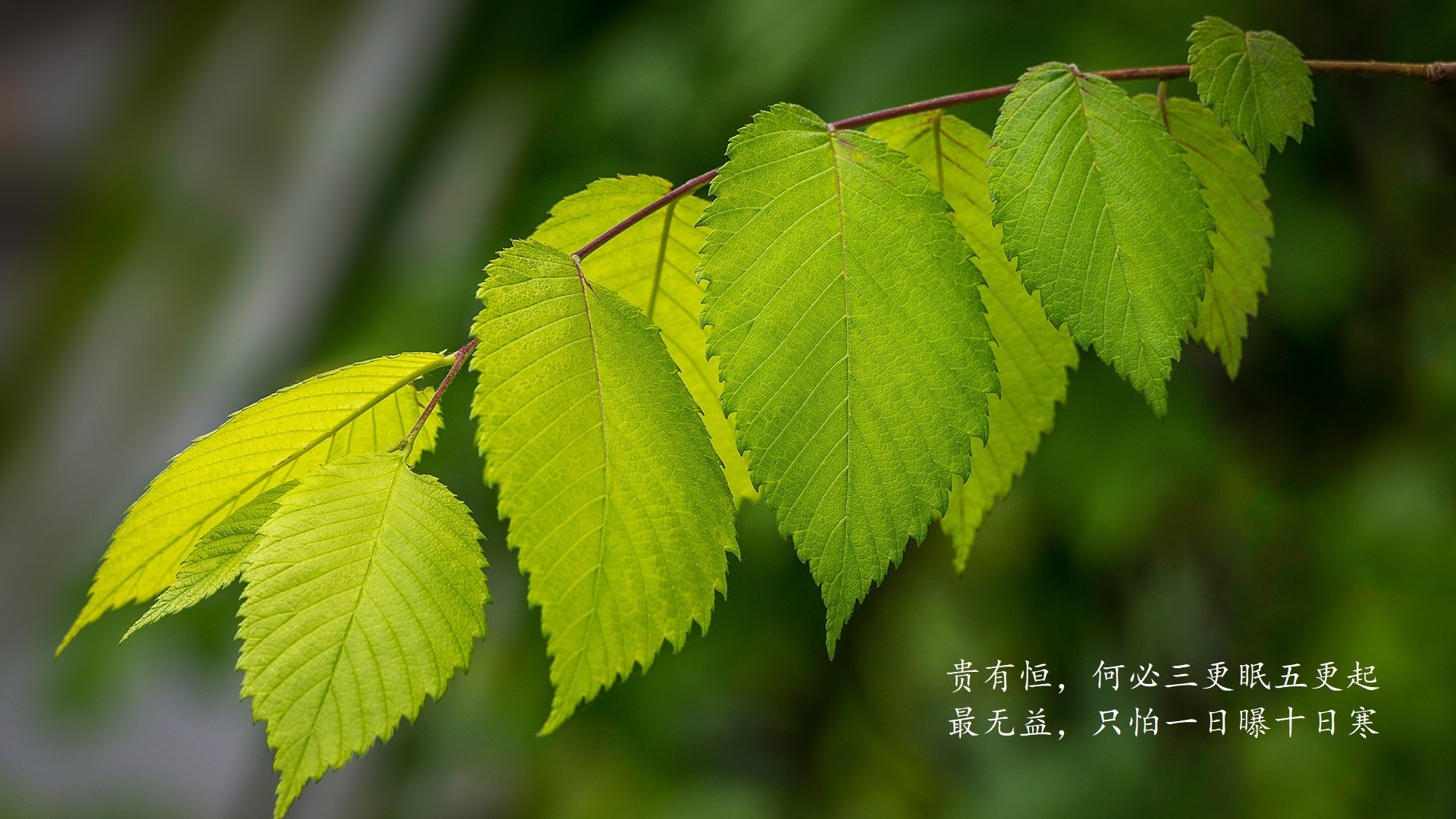 掘金教练组分析中国高中篮球录像，推动国际交流，篮球掘金队