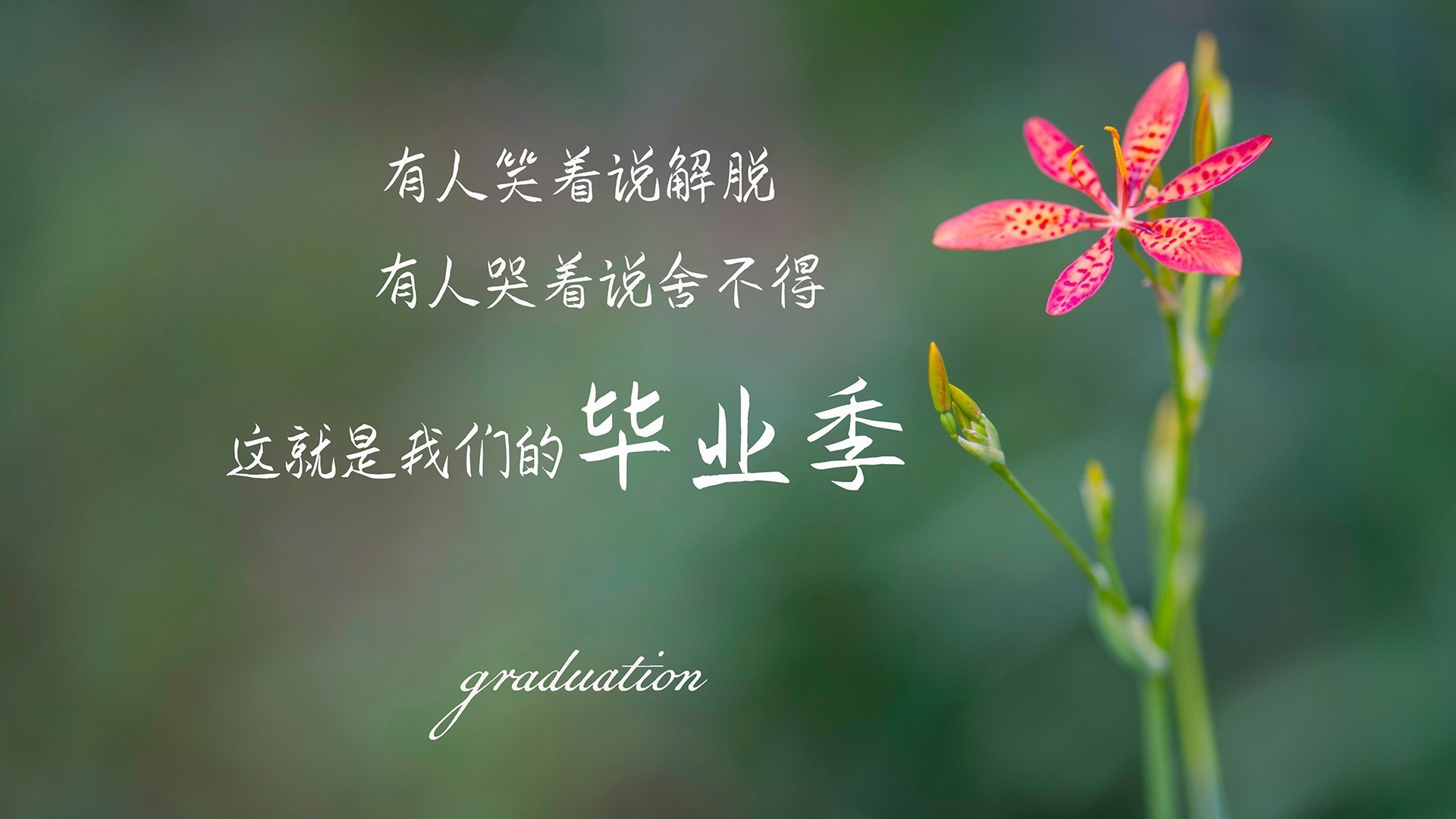 英超巅峰对决，精彩瞬间点燃比赛激情，英超争冠2021