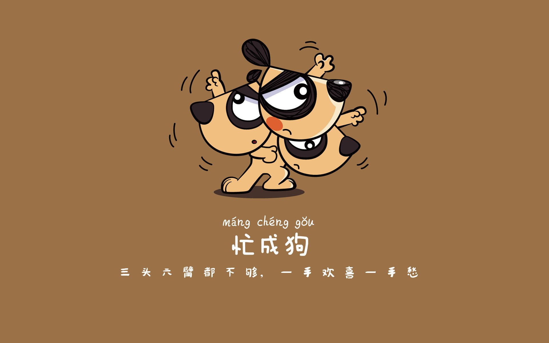 上海申花遭遇连败，卓尔主场先拔头筹，中超上海申花对武汉卓尔现场直播