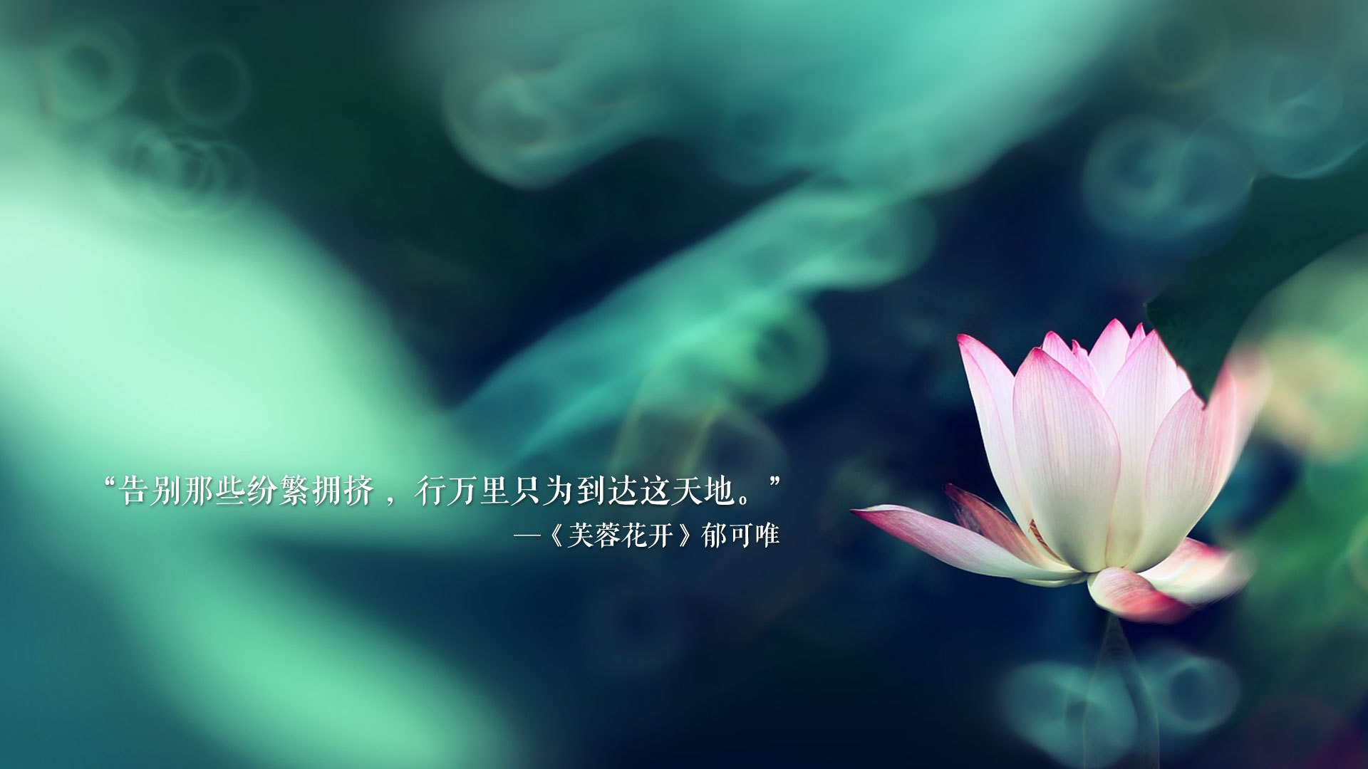 中国足球球员失误原因结构拆解模型，中国足球队谁受伤了