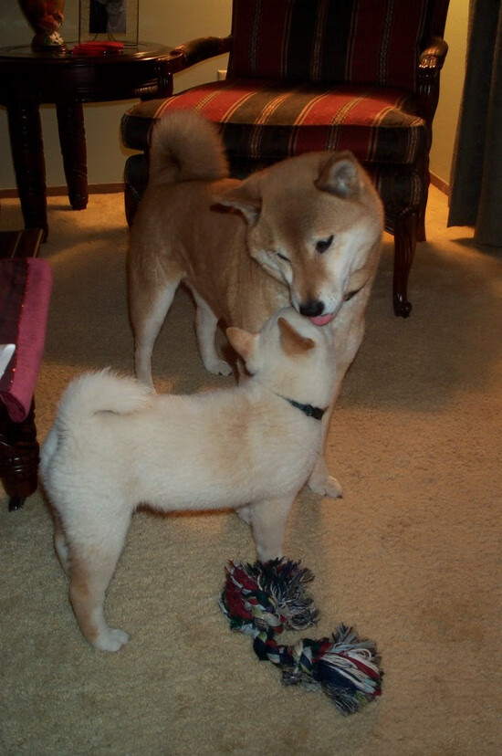 校园体育文化活动社会影响及评估研究,校园体育文化对大学生的影响是什么