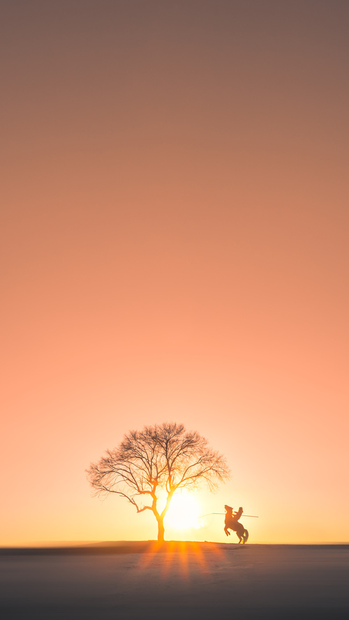 篮球专项技能教学创新及实战应用研究,篮球专项技术训练要点