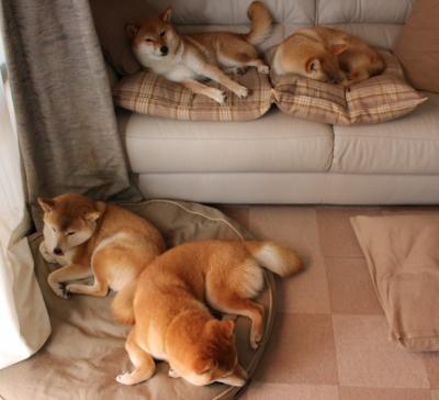 西甲球队基于GPS数据调整边路防守策略的案例