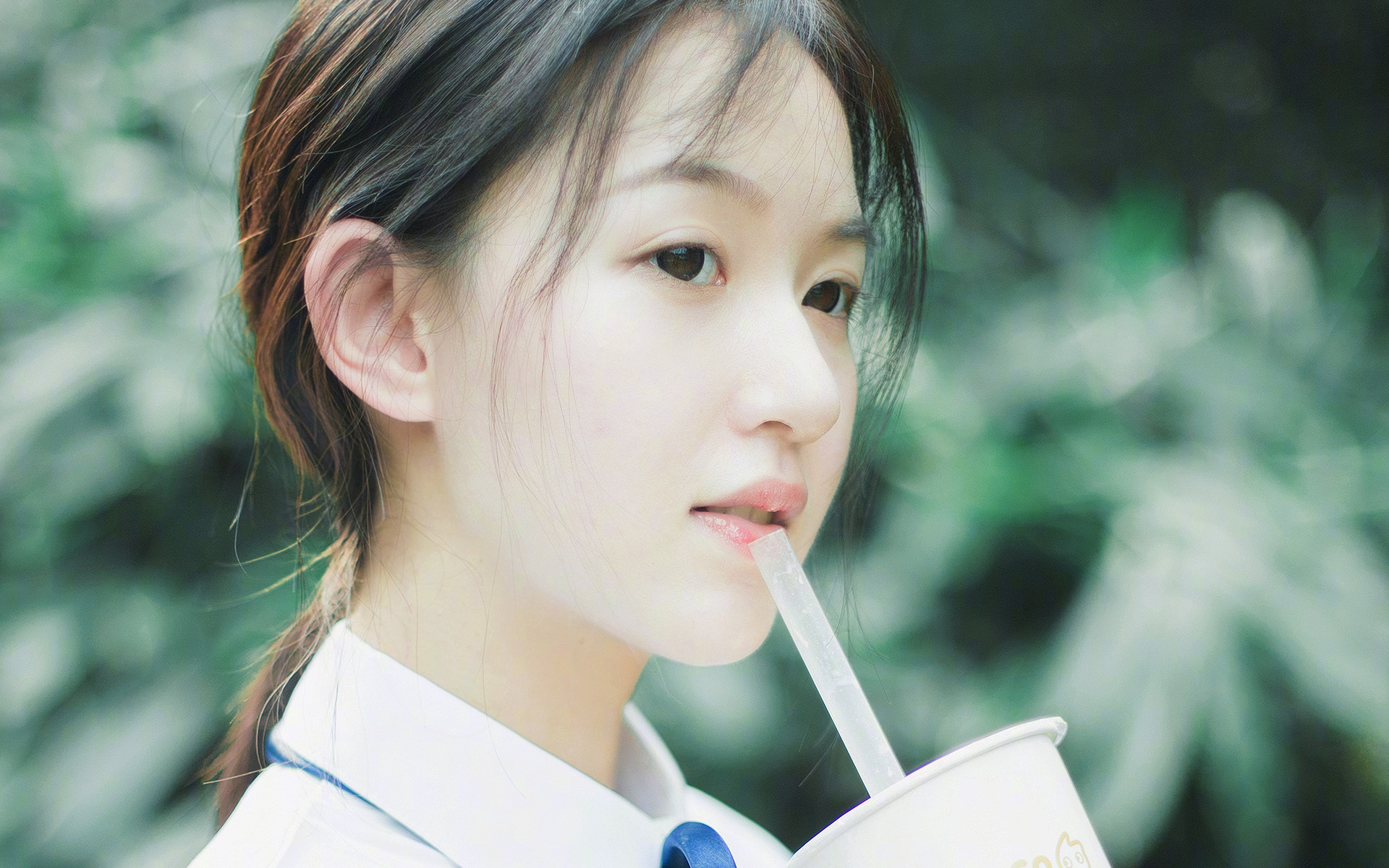 高校专业发展对策,高校专业建设方案