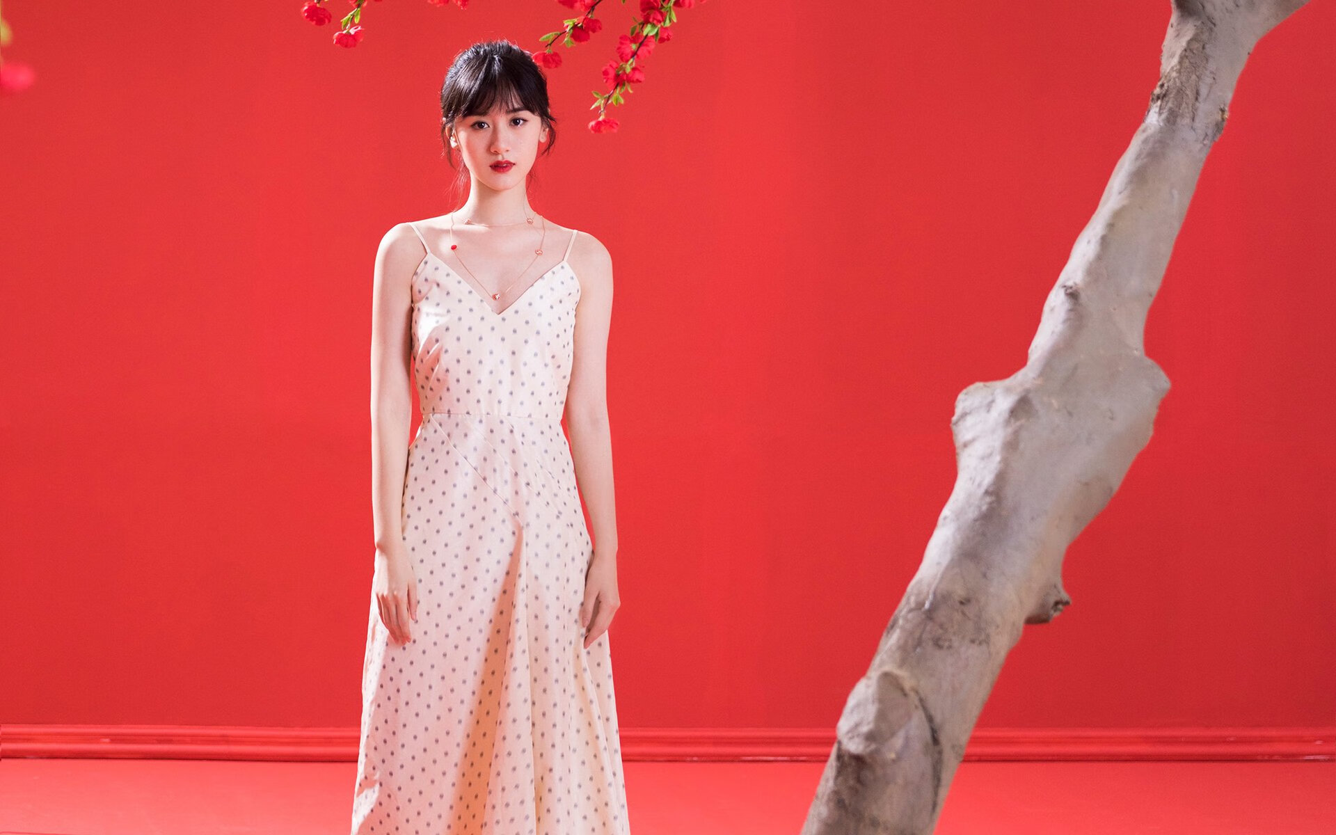 高校专业发展对策,高校专业建设方案