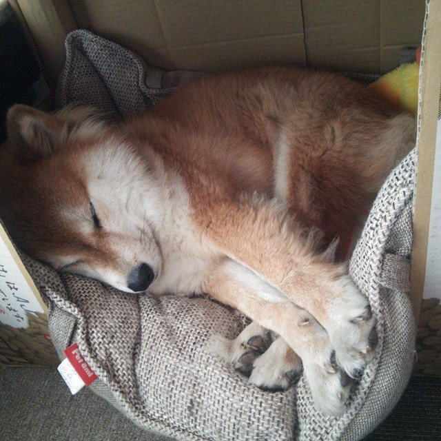 2025世俱杯对阵表-中国女子拳击队展开海外热身赛，中国女子拳击队展开海外热身赛视频