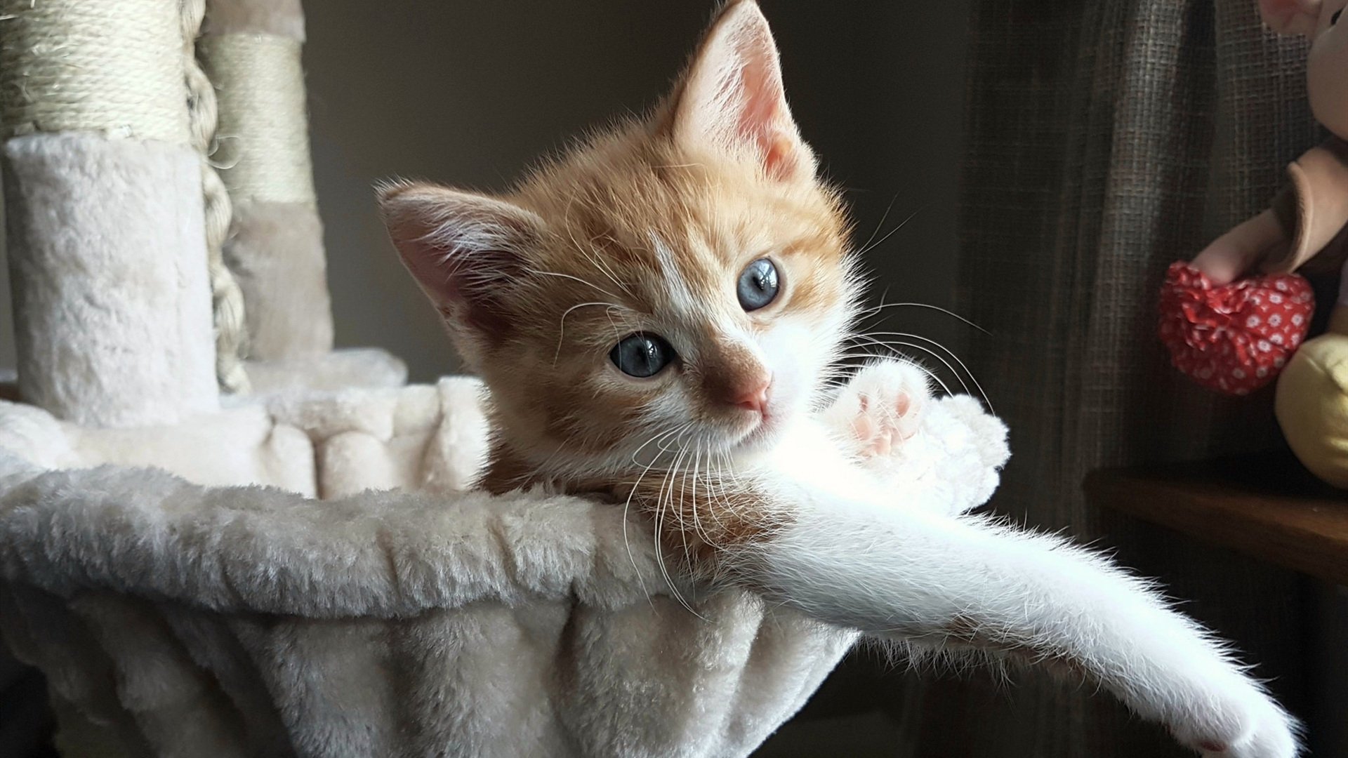 2025世俱杯赛程-中国篮球在中距离投篮能力上存在何短板，中距离投篮被淘汰