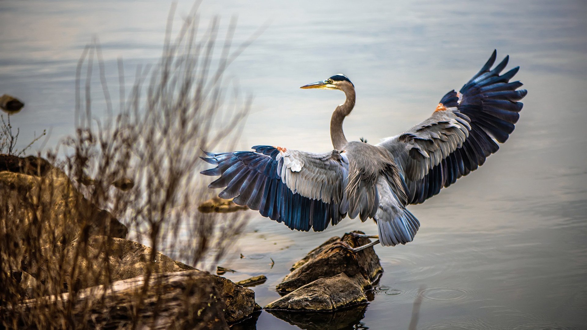 亚冠联赛中国女足晋级 球迷支持力度加大,中国女足亚洲杯夺冠